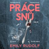 Práce snů - Detektivky, thrillery Práce snů