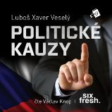 Politické kauzy Politické kauzy