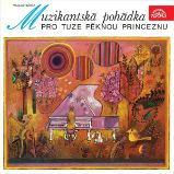 Muzikantská pohádka pro tuze pěknou princeznu
