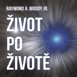 Život po životě Život po životě