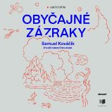 Obyčajné zázraky