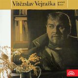 Vítězslav Vejražka - Potrét herce - Ladislav Stroupežnický - Česká literatura Vítězslav Vejražka - Potrét herce
