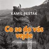 Co se do vás vejde - Kamil Pešťák - Česká literatura Co se do vás vejde