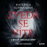Zvedá se vítr - Kateřina Surmanová - Česká literatura Zvedá se vítr