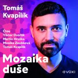 Mozaika duše - Česká literatura Mozaika duše