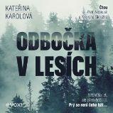 Odbočka v lesích Odbočka v lesích