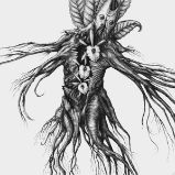 Niccolo Machiavelli: Mandragora