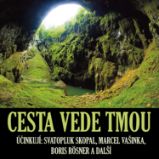 Cesta vede tmou