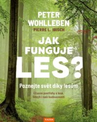 Jak funguje les