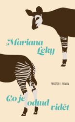 Co je odtud vidět - Mariana Leky - Společenská próza Co je odtud vidět