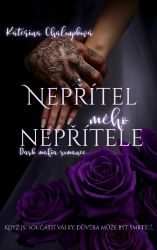 Nepřítel mého nepřítele - Romány Nepřítel mého nepřítele