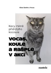 Kecy mírně přidrzlýho kocoura Kecy mírně přidrzlýho kocoura