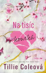 Na tisíc kousků - Tillie Cole - Young Adult Na tisíc kousků
