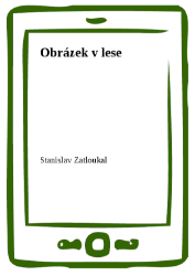 Obrázek v lese
