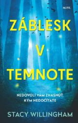 Záblesk v temnote