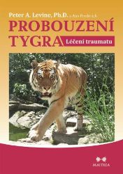 Probouzení tygra - Motivace Probouzení tygra