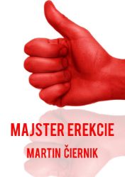 Majster erekcie