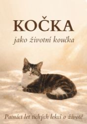 Kočka jako životní koučka - Motivace Kočka jako životní koučka