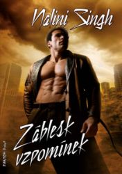 Záblesk vzpomínek - Fantasy Záblesk vzpomínek
