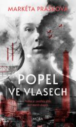 Popel ve vlasech