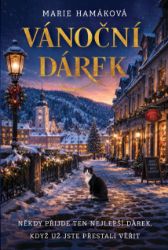 Vánoční dárek - Romantické Vánoční dárek