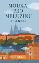 Mouka pro meluzínu a jiné glosy