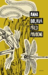 Před povodní - Anna Bolavá - Společenská próza Před povodní