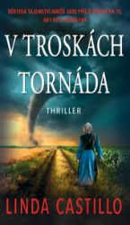 V troskách tornáda V troskách tornáda