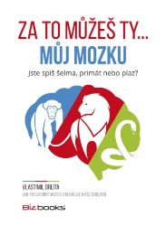 Za to můžeš ty... můj mozku Za to můžeš ty... můj mozku