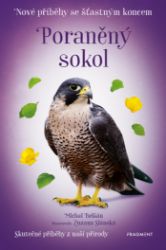 Nové příběhy se šťastným koncem – Poraněný sokol - Pro děti a mládež Nové příběhy se šťastným koncem – Poraněný sokol