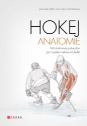 Hokej - anatomie Hokej - anatomie