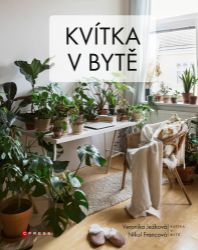Kvítka v bytě Kvítka v bytě