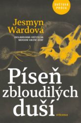 Píseň zbloudilých duší Píseň zbloudilých duší