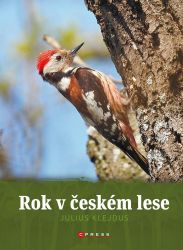 Rok v českém lese Rok v českém lese