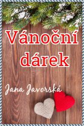 Vánoční dárek Vánoční dárek