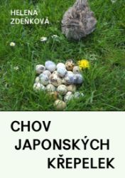 Chov japonských křepelek Chov japonských křepelek