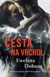 Cesta na vrchol Cesta na vrchol