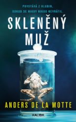 Skleněný muž Skleněný muž