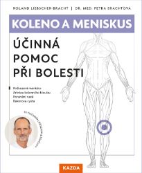 Koleno a meniskus Koleno a meniskus