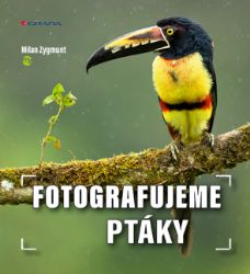 Fotografujeme ptáky Fotografujeme ptáky