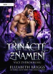 Třinácté znamení - Elizabeth Briggs - E-knihy Třinácté znamení