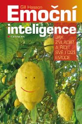 Emoční inteligence - Komunikace Emoční inteligence