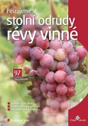 Pěstujeme stolní odrůdy révy vinné - Domov, zahrada Pěstujeme stolní odrůdy révy vinné