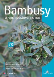 Bambusy a jejich pěstování u nás - Domov, zahrada Bambusy a jejich pěstování u nás