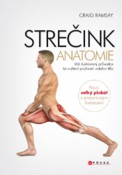 Strečink - anatomie - Sport & hry Strečink - anatomie