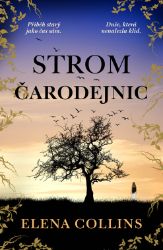 Strom čarodejnic Strom čarodejnic