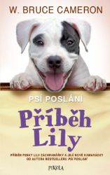 Příběh Lily Příběh Lily