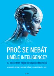 Proč se nebát umělé inteligence? Proč se nebát umělé inteligence?