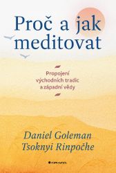 Proč a jak meditovat Proč a jak meditovat