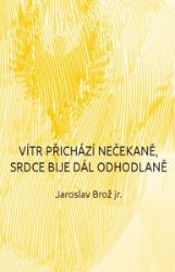 Vítr přichází nečekaně, srdce bije dál odhodlaně Vítr přichází nečekaně, srdce bije dál odhodlaně